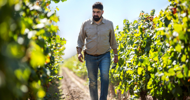 Winemaker Karim Mussi Saffie