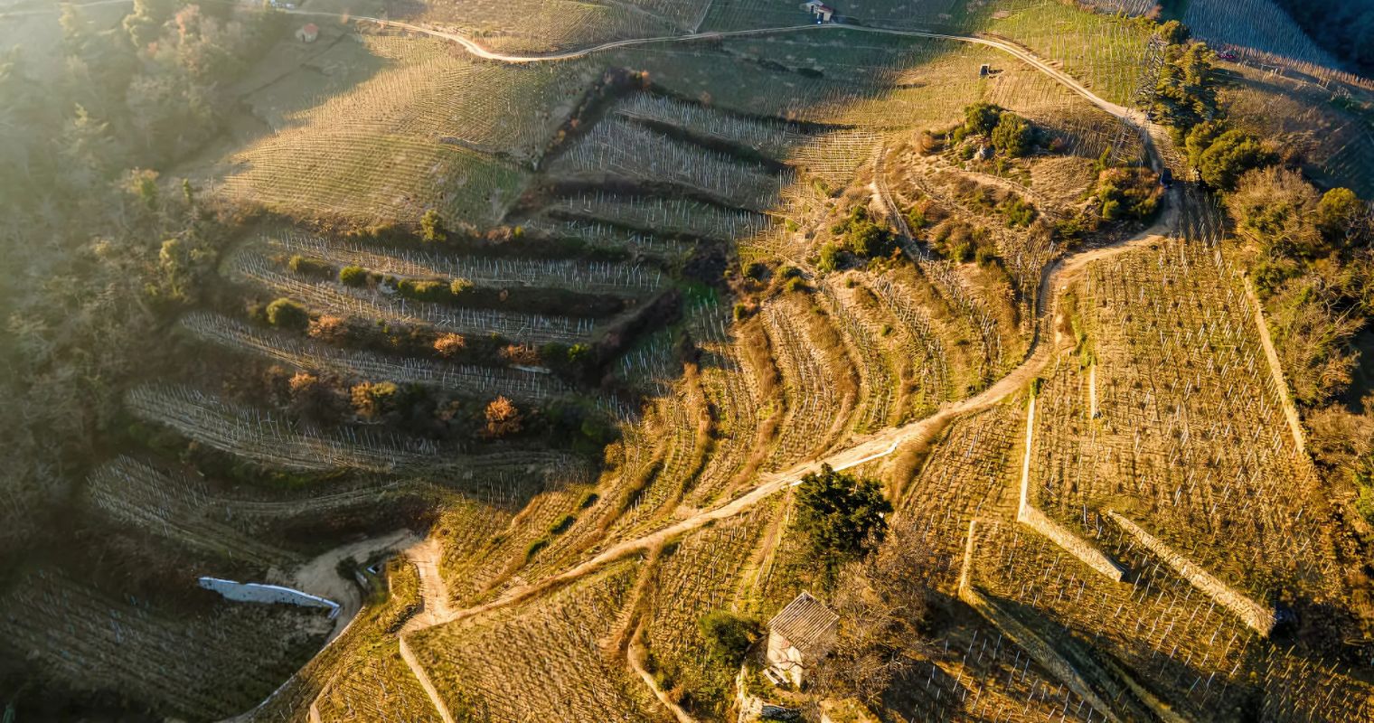 Rhône Valley