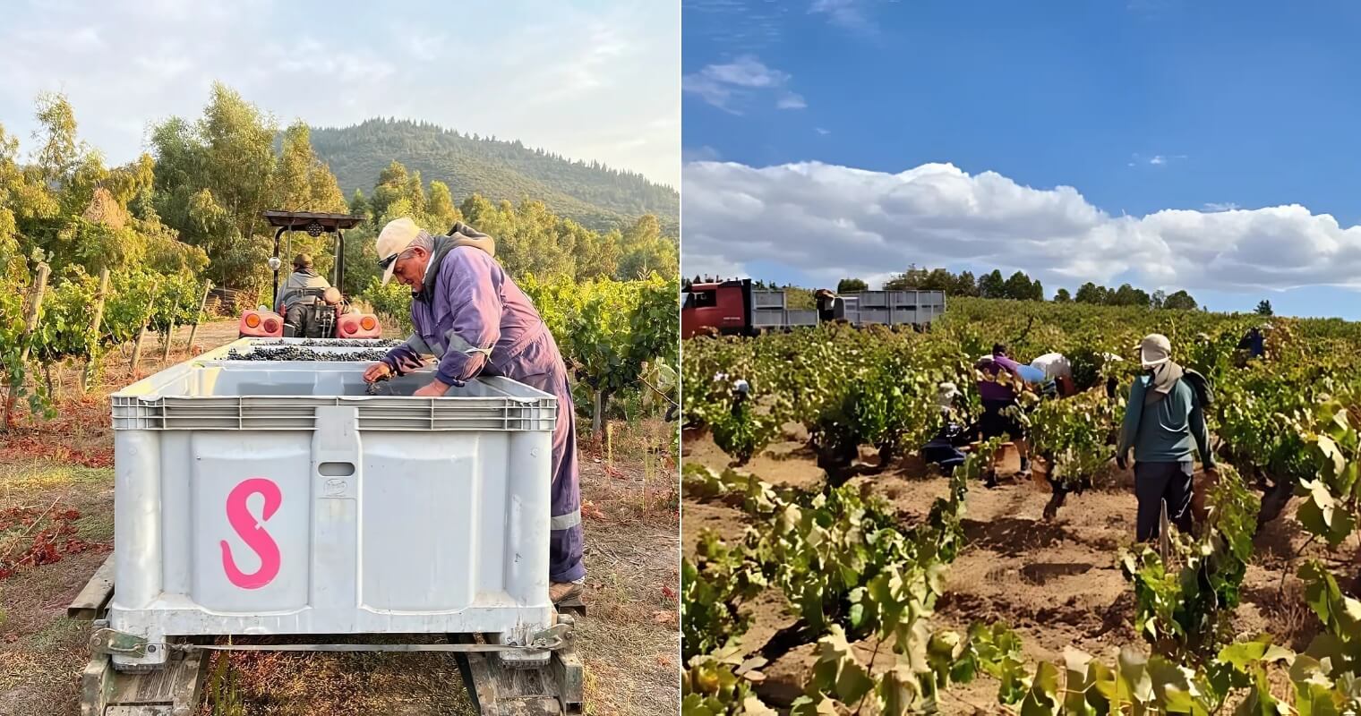 Harvesting