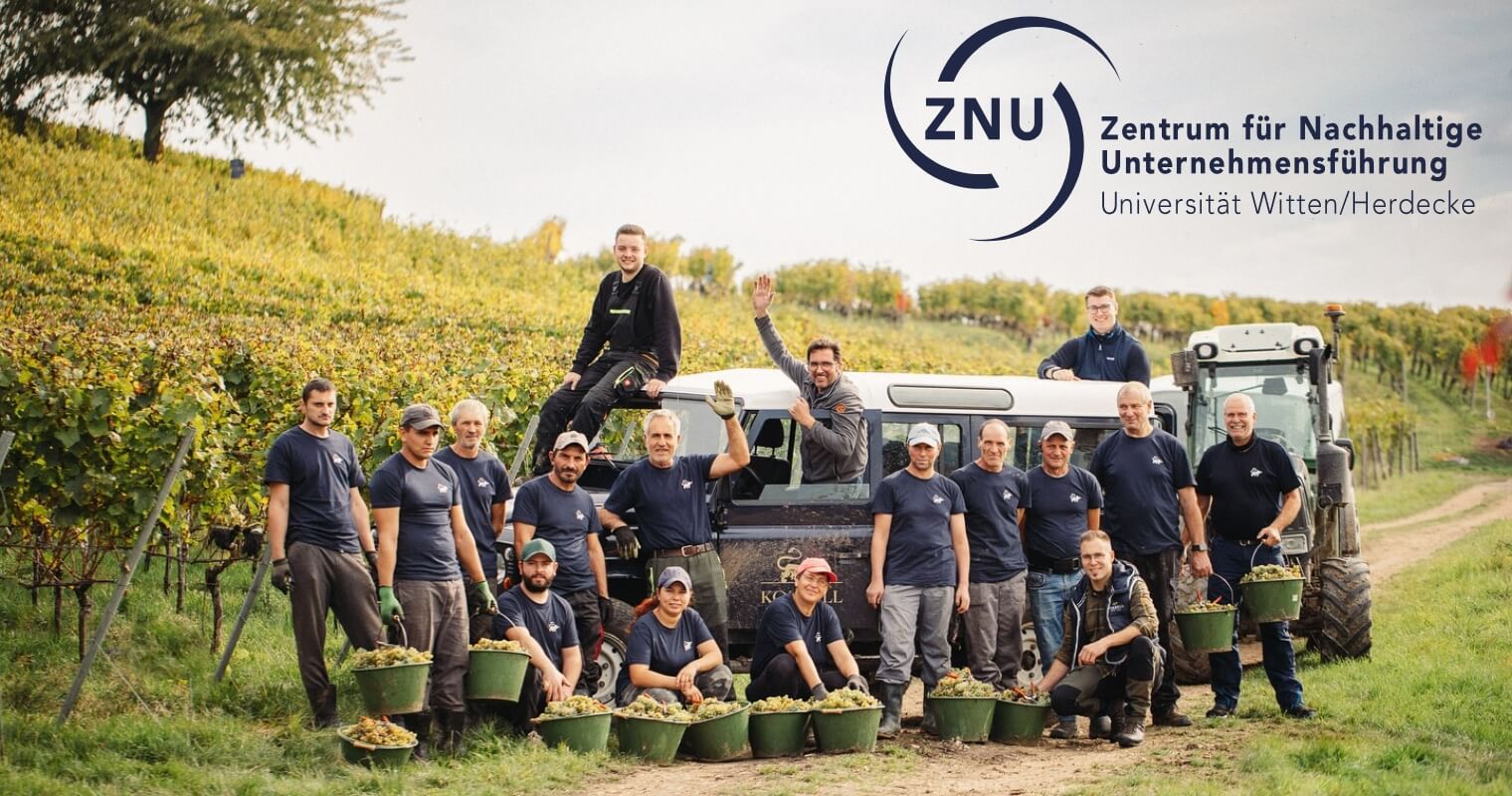Harvest 2024 at Weingut Korrell (Germany’s first ZNU-certified sustainable winery)