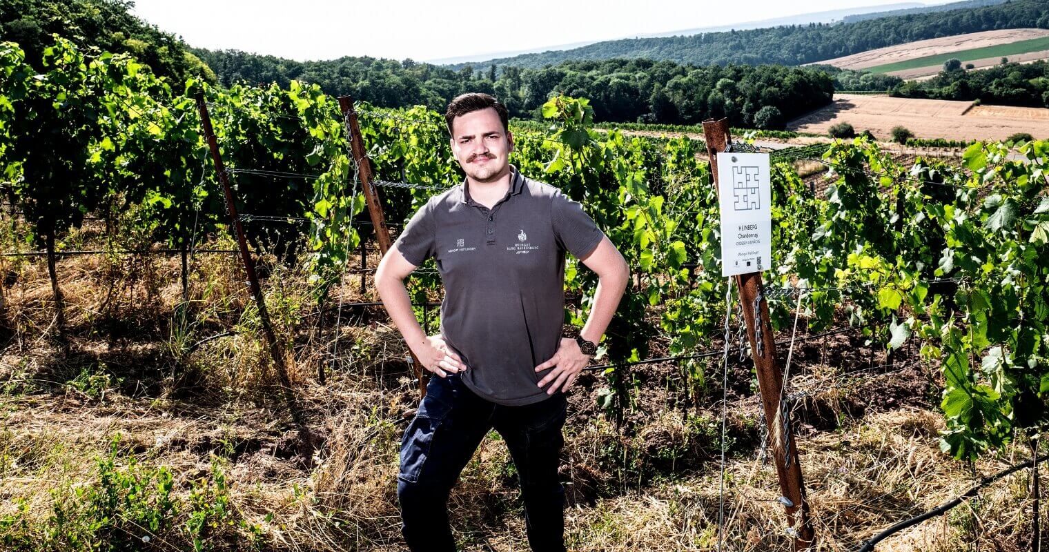 Patrick Jacklin, Winemaker