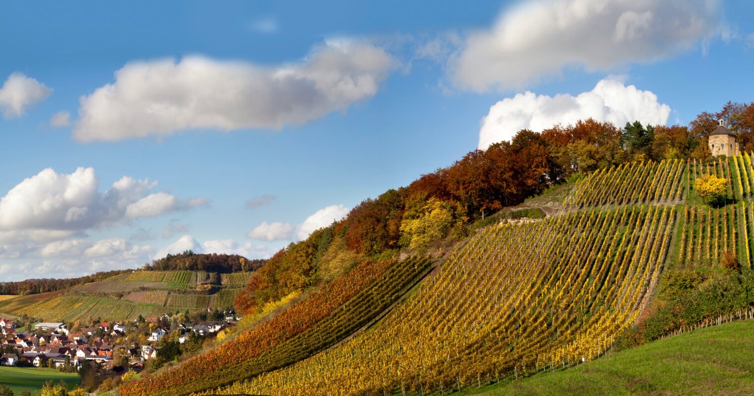 The Calcareous hills of Kraichgau