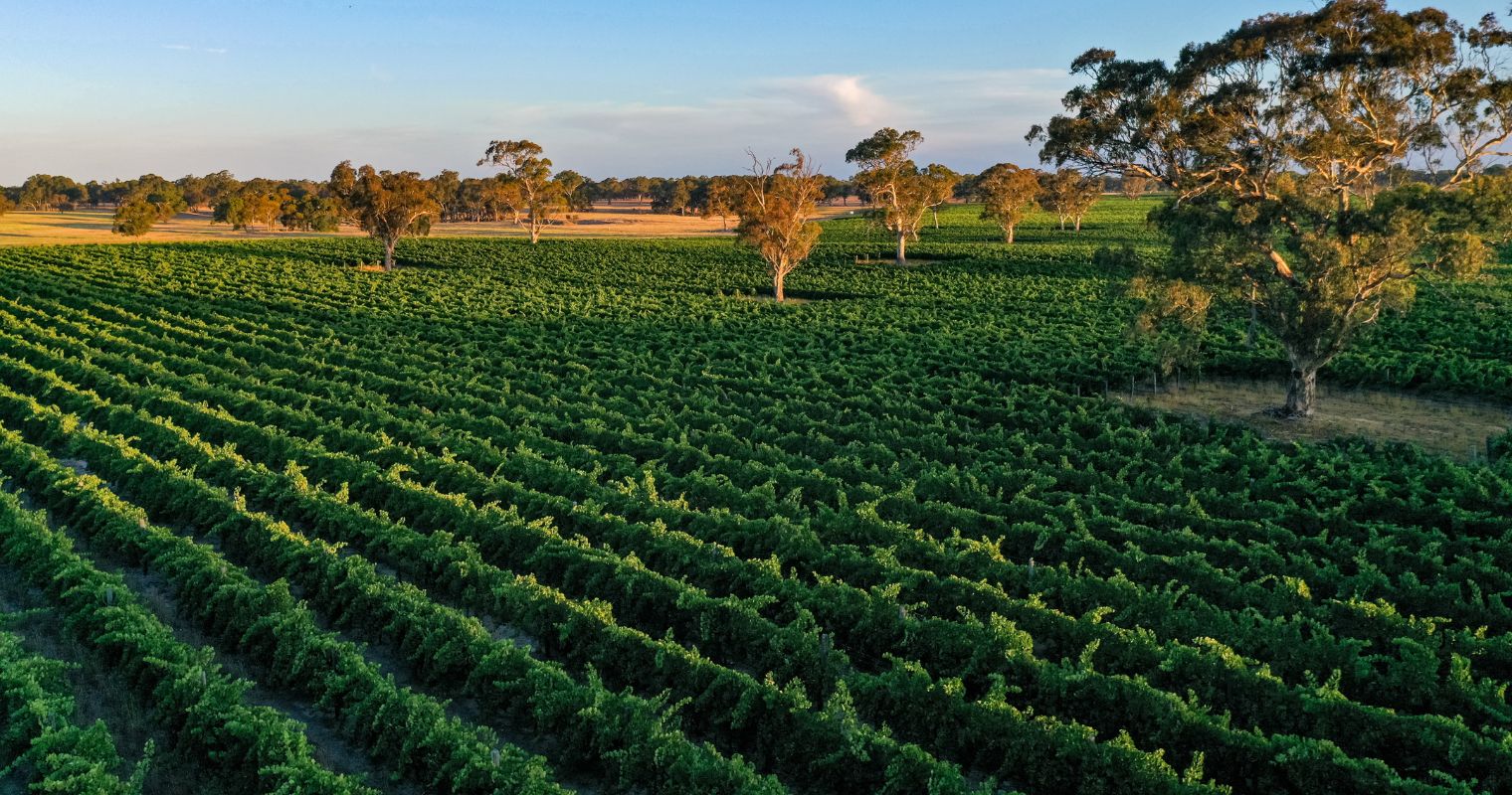 Wrattonbully wine region