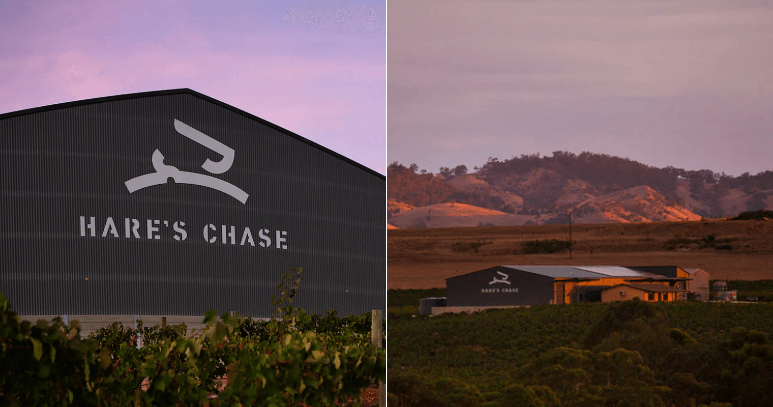 Hare’s Chase Winery