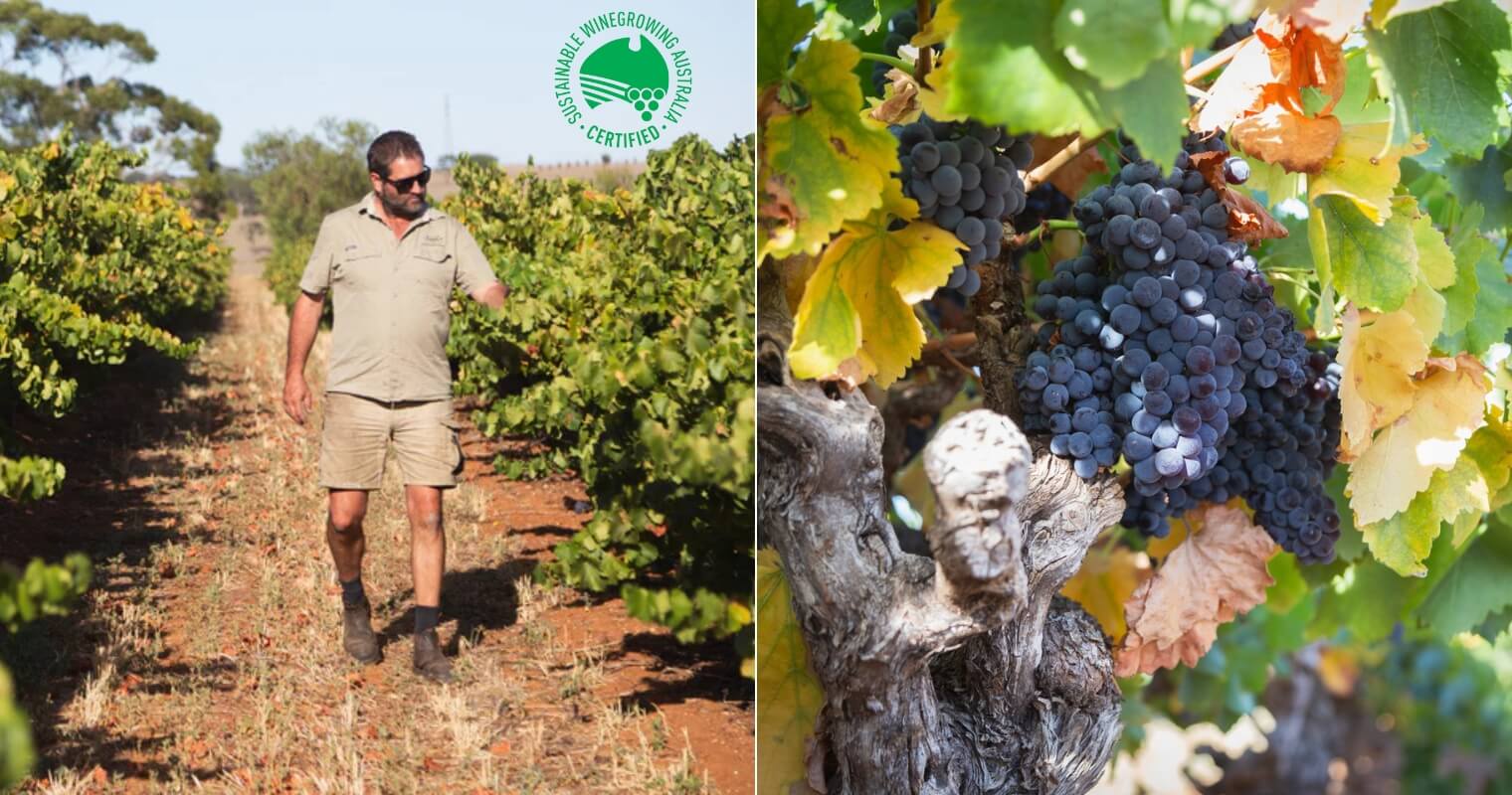 Sustainable Winegrowing Australia