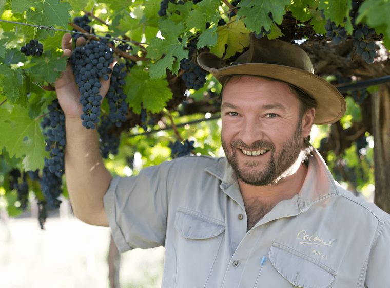 Thibaut Delmotte, Bodega Colomé