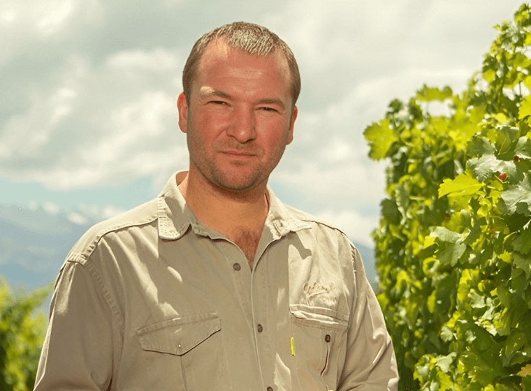 Thibaut Demotte, Winemaker