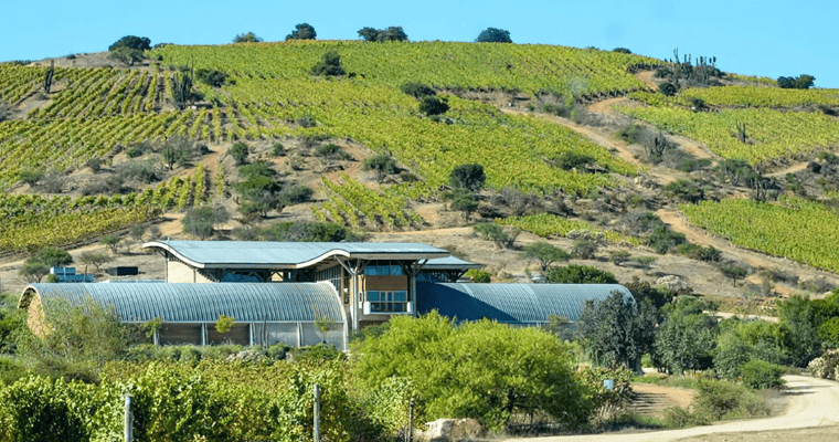 Amayna Winery