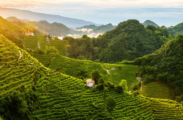 Conegliano Valdobbiadene Prosecco Superiore DOCG