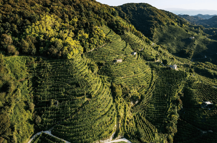 Le Rive del Conegliano Valdobbiadene