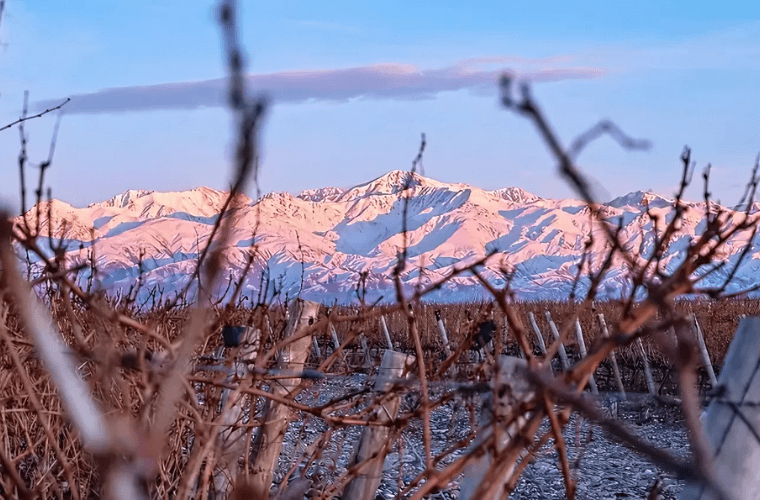 Argentina’s Wine Regions