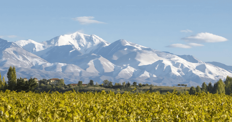 Wine Region - Argentina