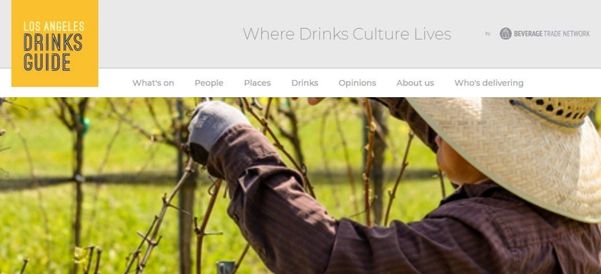 Photo for: Tolosa Winery: Pinot Noir and Chardonnay wines from the Edna Valley