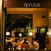 Spruce_SF