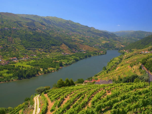 Douro Valley