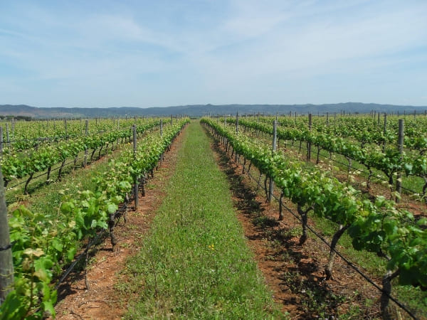 Alentejo