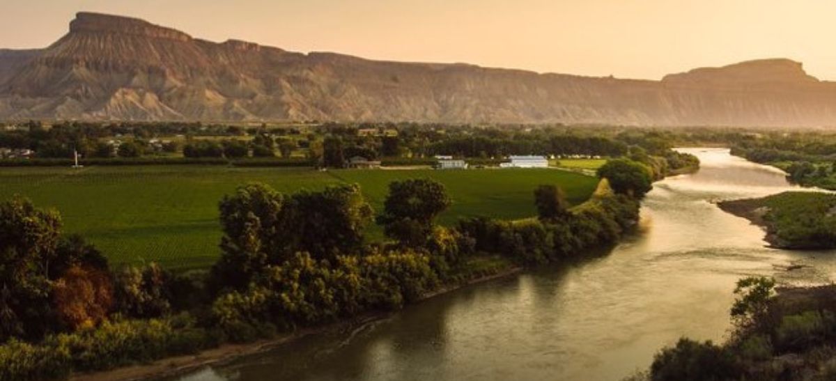 Photo for: What is Geosensorial Wine Tasting?