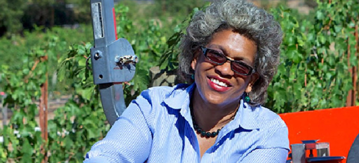 Photo for: From Law to Vines: The Inspiring Journey of Theodora Lee, Founder of Theopolis Vineyards