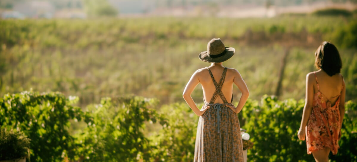 Photo for: Women Winemakers of USA