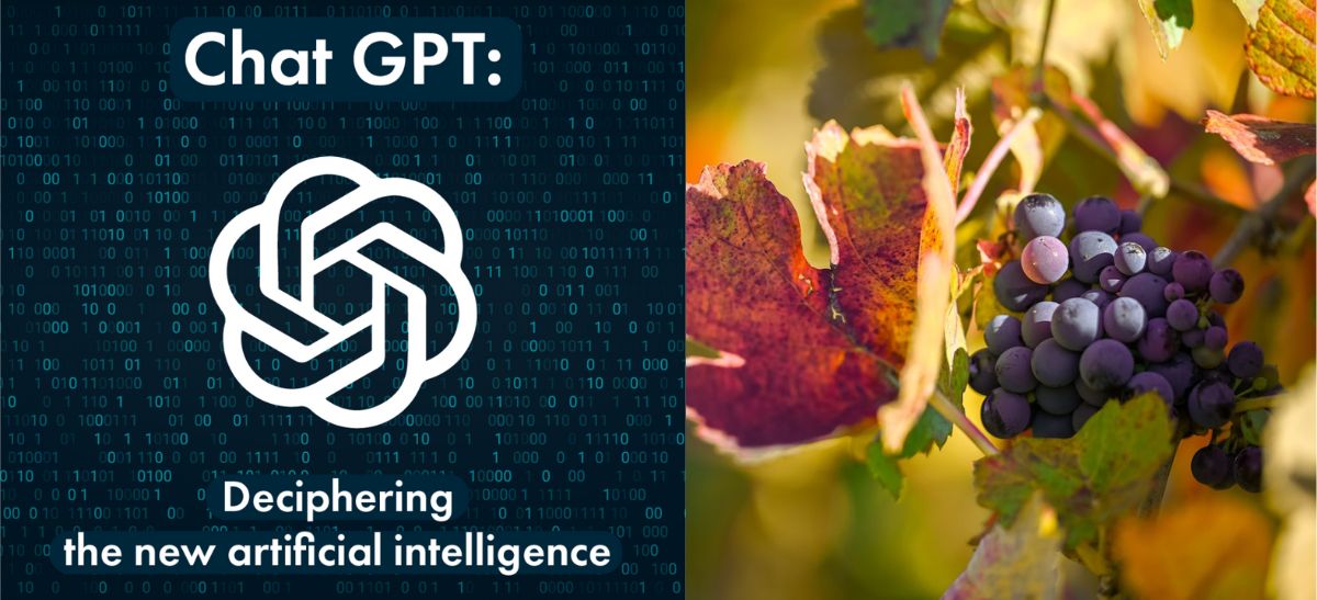 Photo for: Machine Intelligence and the Future of the Wine Industry