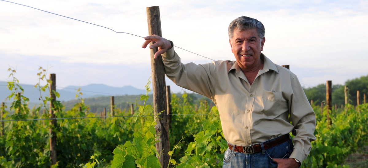 Photo for: From Ranching to Winemaking: The Evolution of Vinícola El Fortín with Aldo Ramón Aguirre