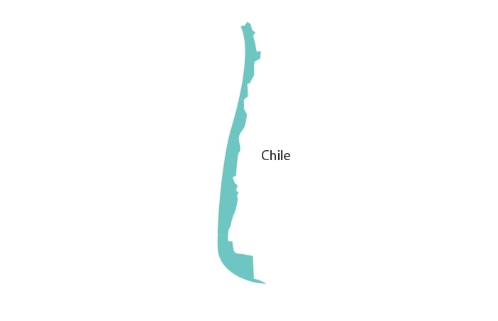 Chile wine harvest summary
