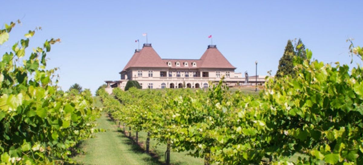 Photo for: Six Wine Resorts - United States For Summer Wine Vacation