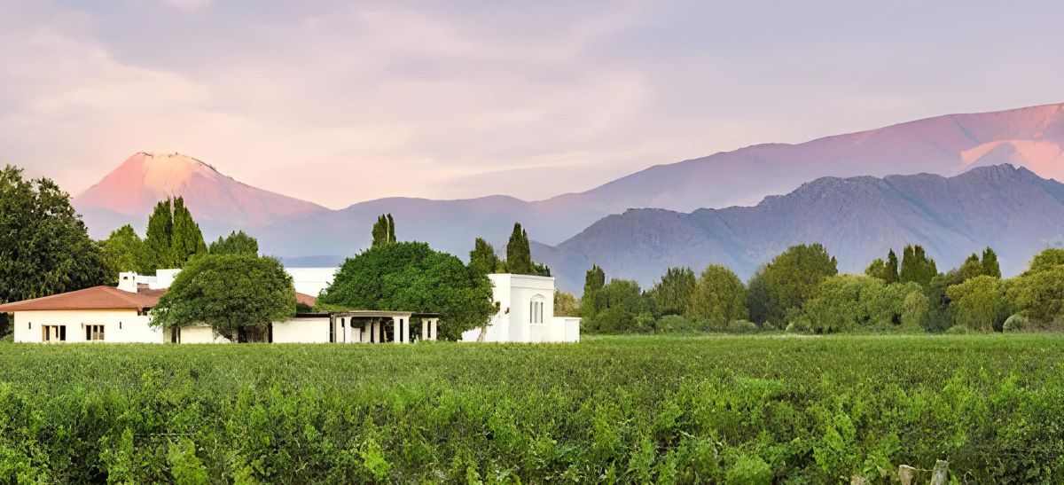 Photo for: An Interview with Magdalena Pesce, CEO of Wines of Argentina