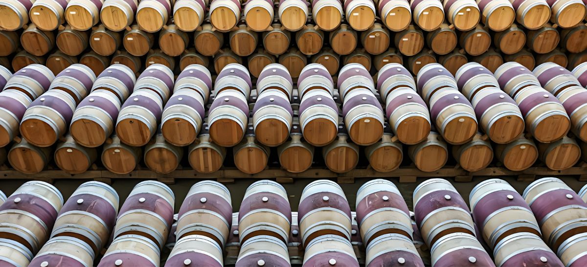 Photo for: Fine Wine: A Very Current Discussion and Debate