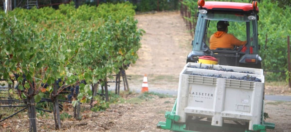 Photo for: What Are The Top Priorities Of Wineries Right Now?