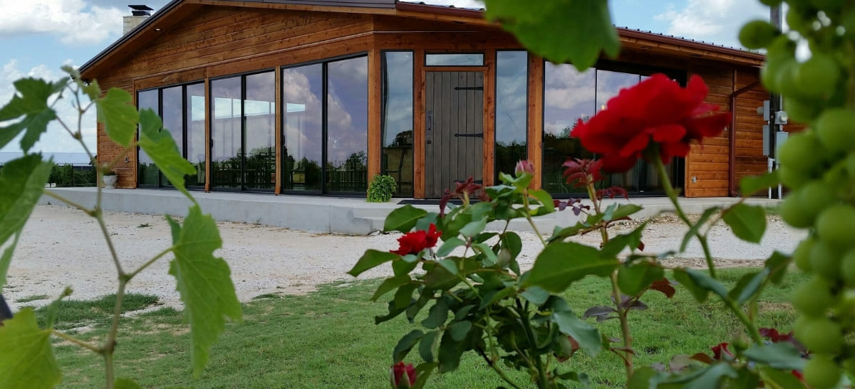 Photo for: Family Owned Vineyards & Wineries of Texas