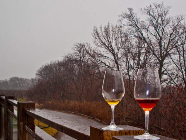 icewine glasses