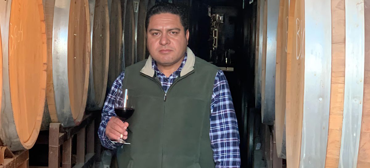 Photo for: The Gibson Wine Company’s Quest for Excellence