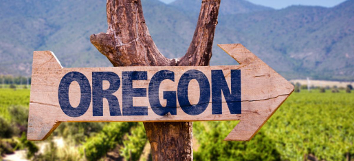 Photo for: Oregon: The Premier Wine Producing Region of USA