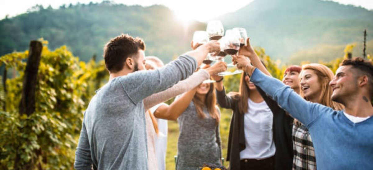 Photo for: Wine Tourism : The best experience of California 