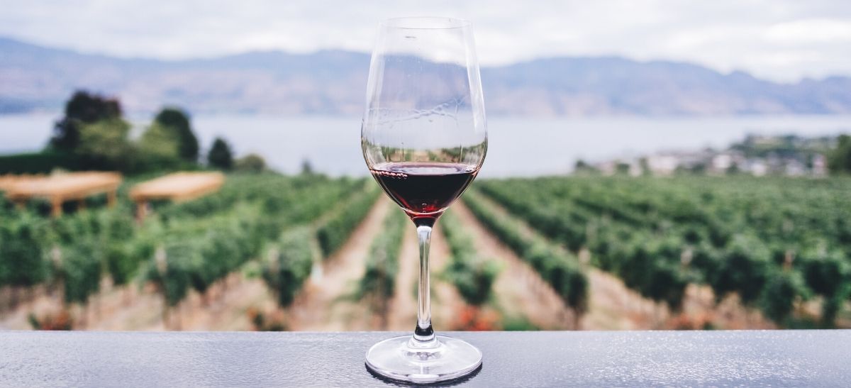 Photo for: Wineries Can Drive Sales With Web Directories