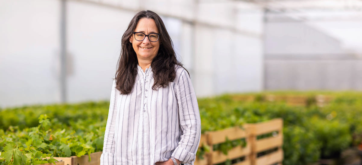 Photo for: Hill-Smith Family Estates Share Insights on Pioneering Winemaking and Sustainability Excellence