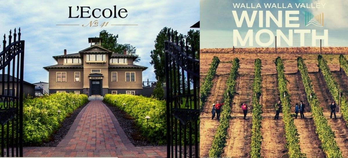 Photo for: L'Ecole No 41 won three medals at the Sommeliers Choice Awards 