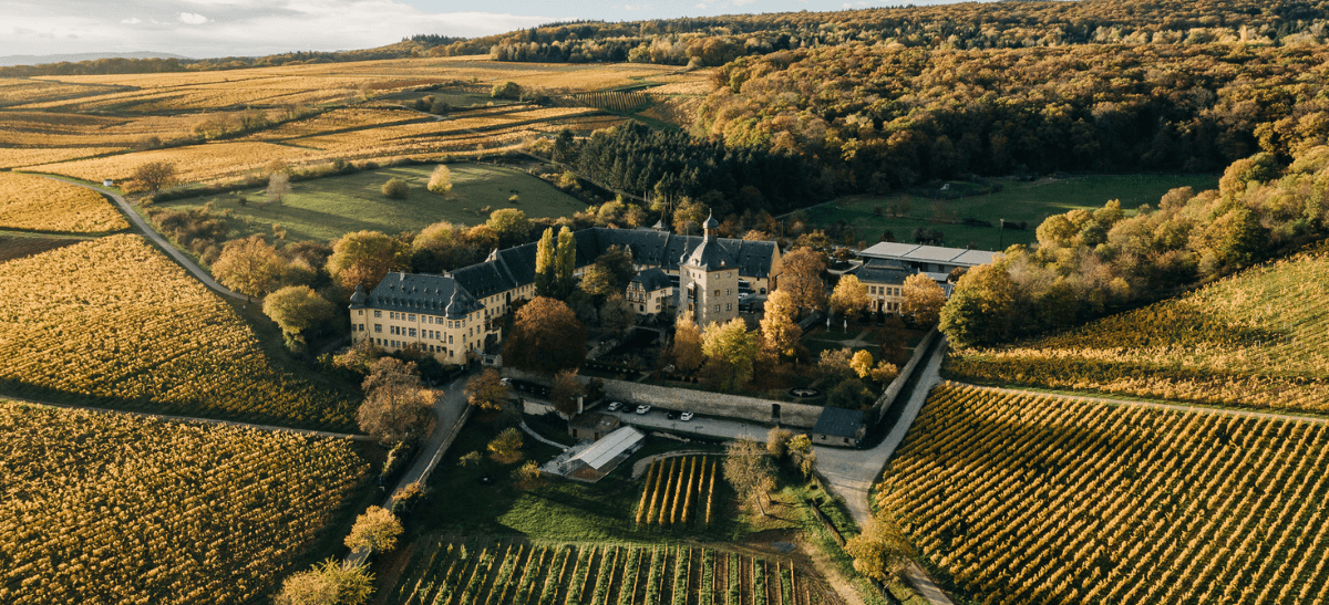 Photo for: The Case for Kabinett: Schloss Vollrads Wins Riesling of the Year at 2026 Sommeliers Choice Awards