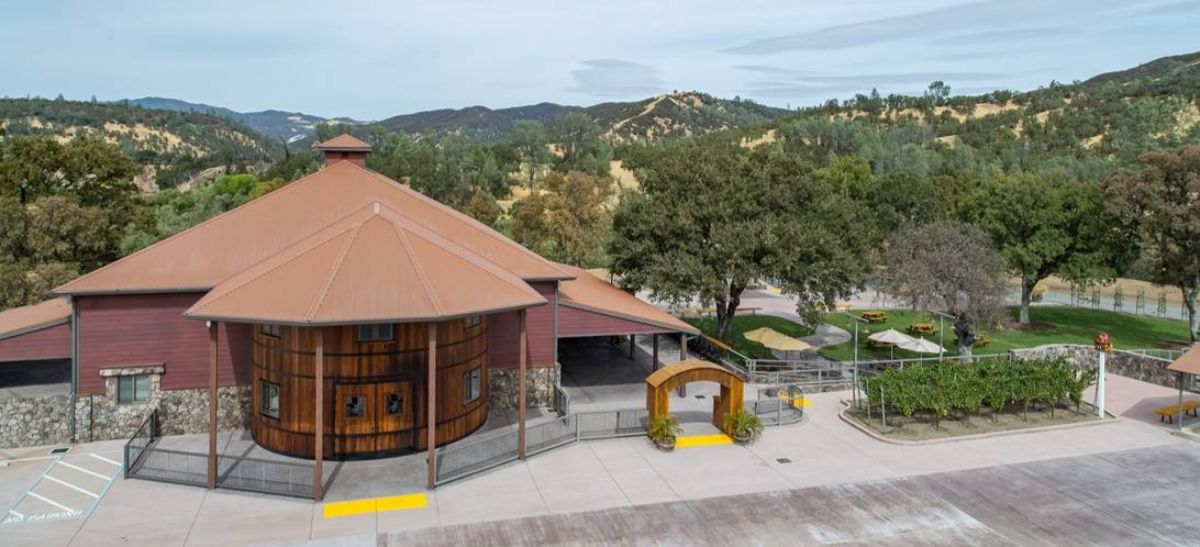 Photo for: With An Incredible Score, Cache Creek Vineyards Won Four Medals