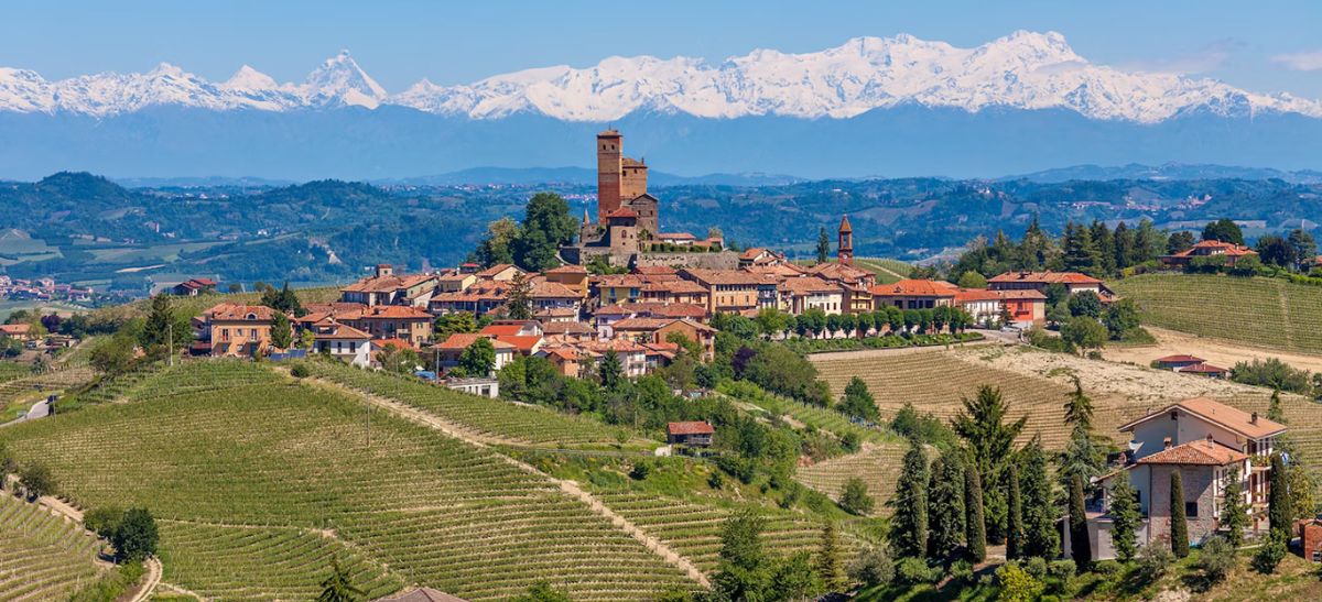Photo for: Nebbiolo and Barolo: Piedmont Varietals Keep Trending on Wine Lists
