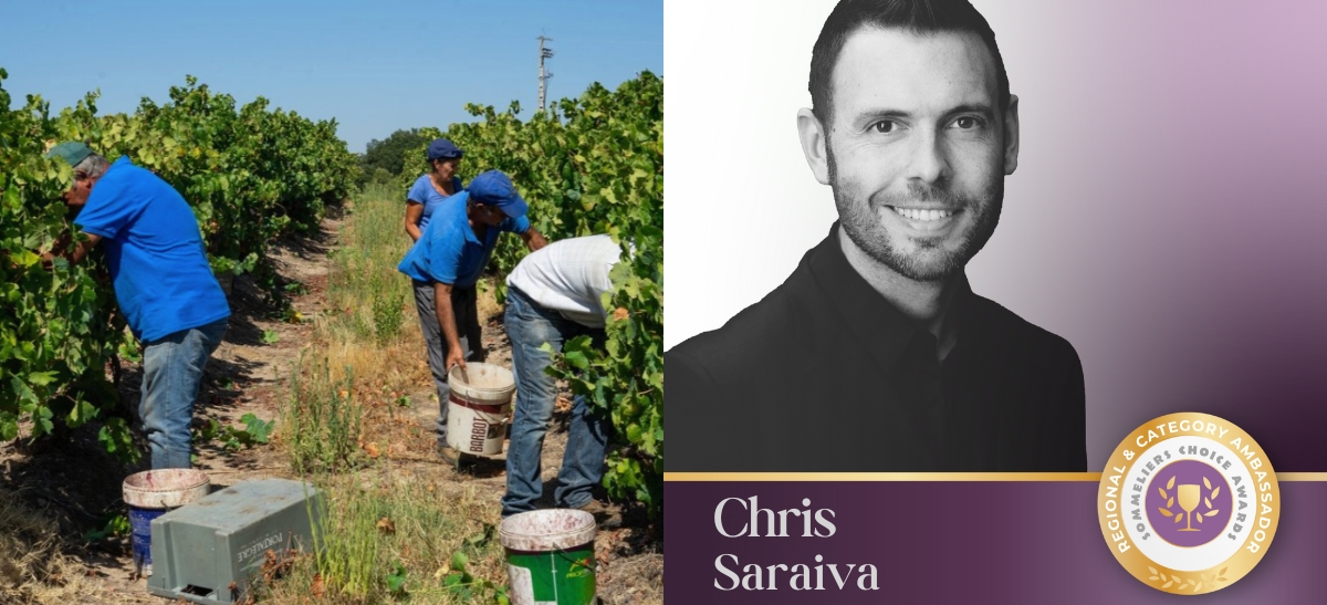 Photo for: Sommeliers Choice Awards 2025 Welcomes Chris Saraiva as Ambassador for Portuguese Wines