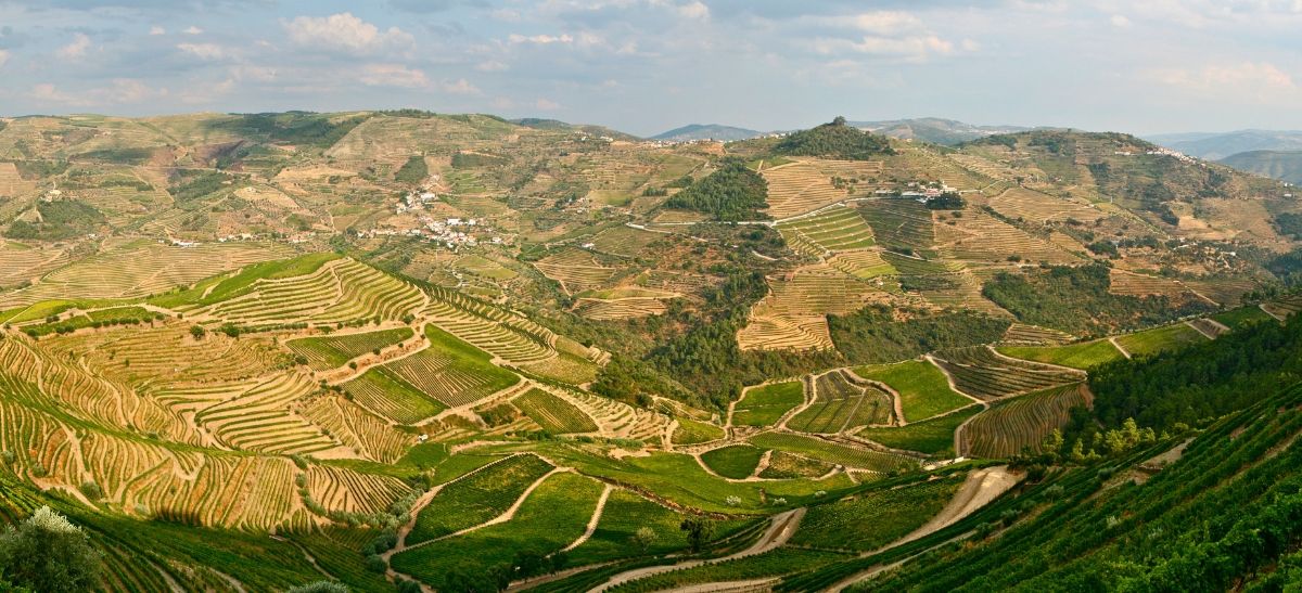 Photo for: Port Is Returning From The Shadows - In All Its Ruby Glory