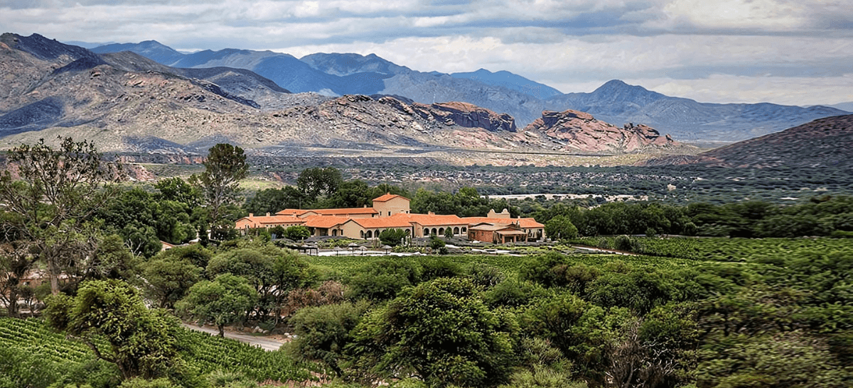 Photo for: Leaders at Four of Argentina’s Best Wineries Discuss Terroir: Part One