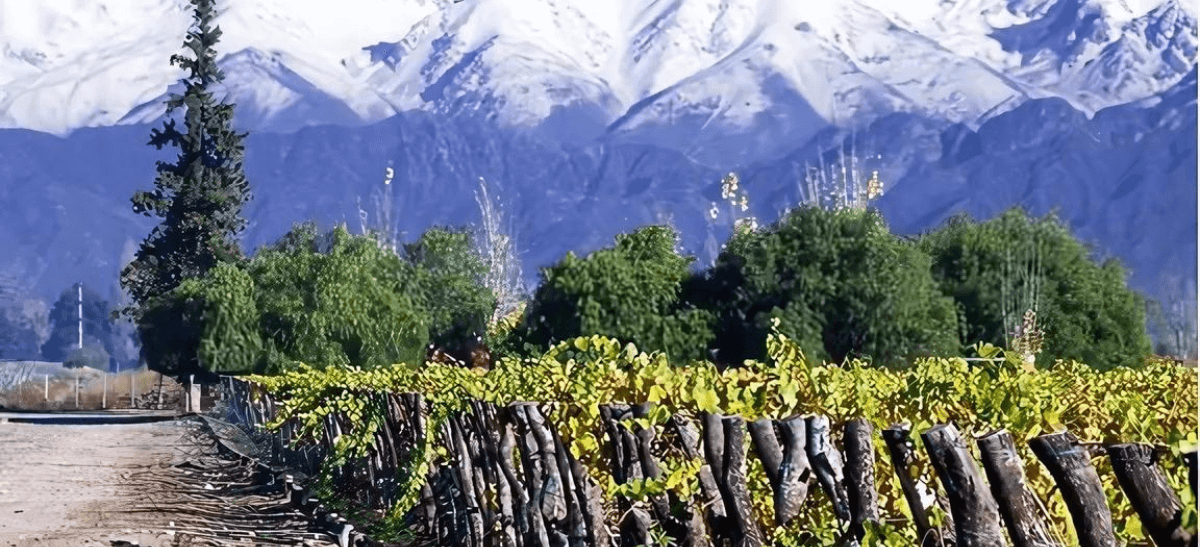 Photo for: Three Major Forces in the Importation of Chilean Wine into the US