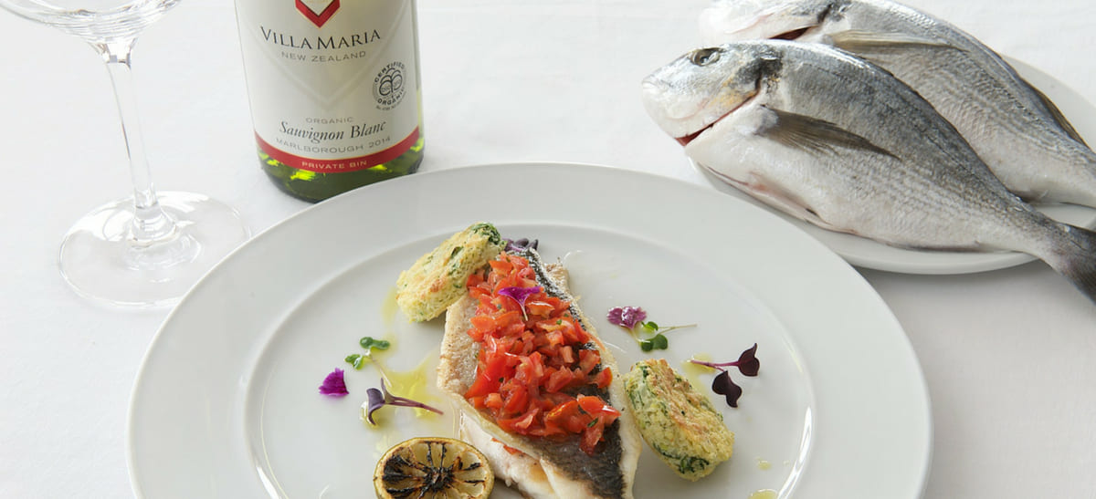 Photo for: Pairing Essentials: What to Know When Pairing Wine With Your Favorite Fish 