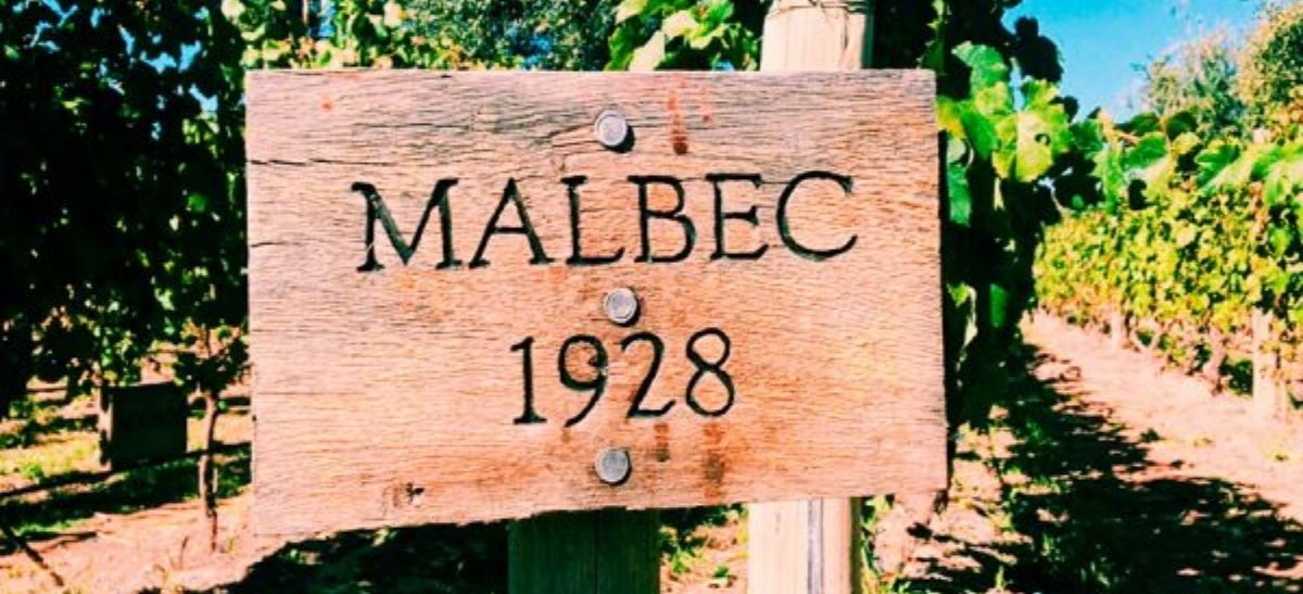 Photo for: Mendel Wines- A Malbec and Cabernet Sauvignon Vineyard since 1928