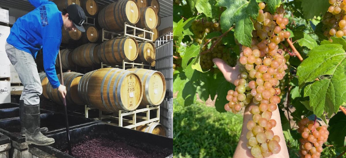 Photo for: Know Your Winemakers: Josh Kessler, Winemaker at Swedish Hill Winery, New York