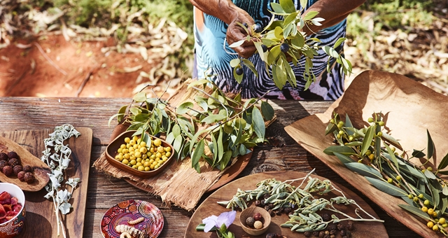 Bush-Tucker-Journeys-at-Ayers-Rock-Resort