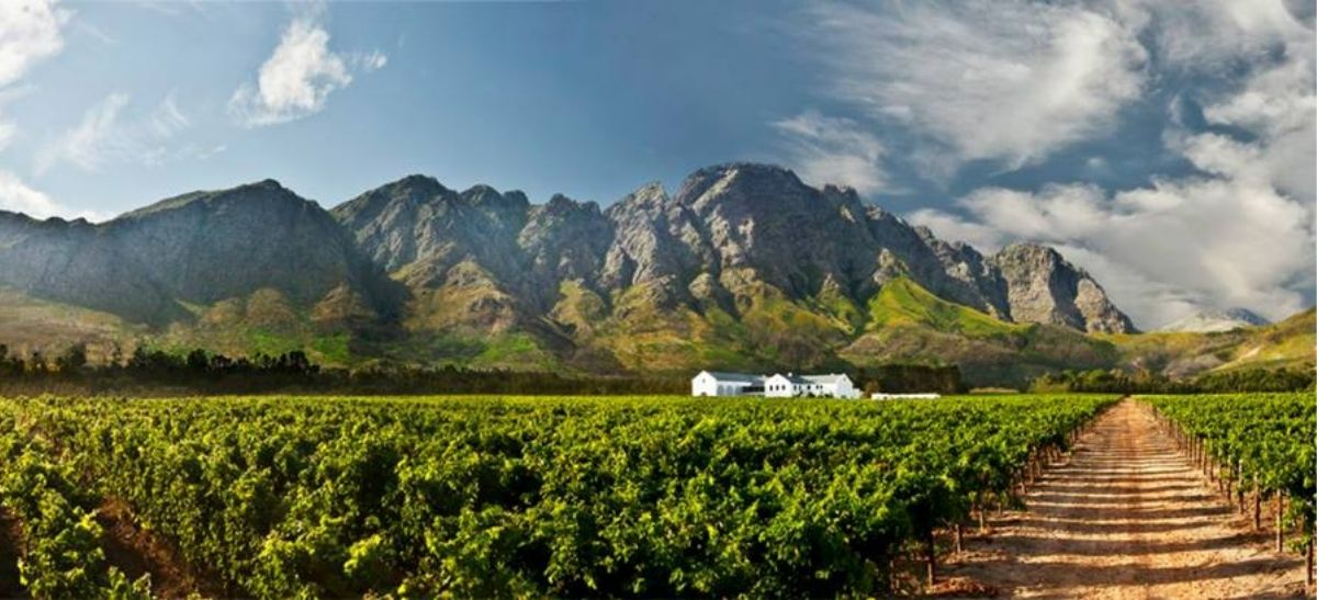 Photo for: Holden Manz